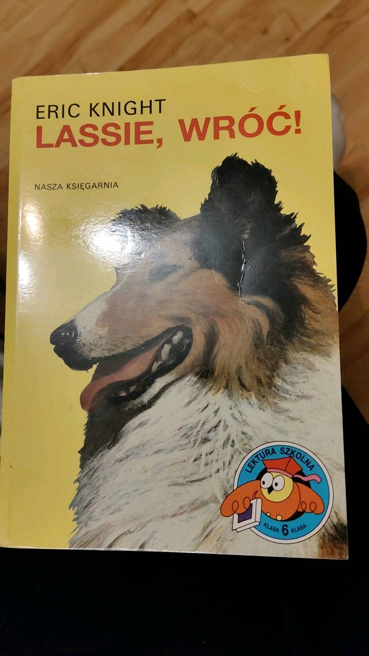 Lassie, wróć !