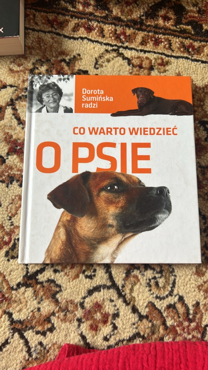 Co warto wiedziec o psie