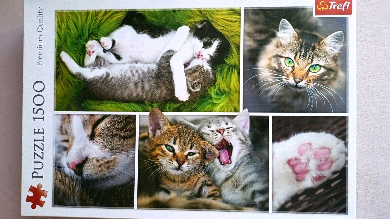 Puzzle 1500 Trefl koty