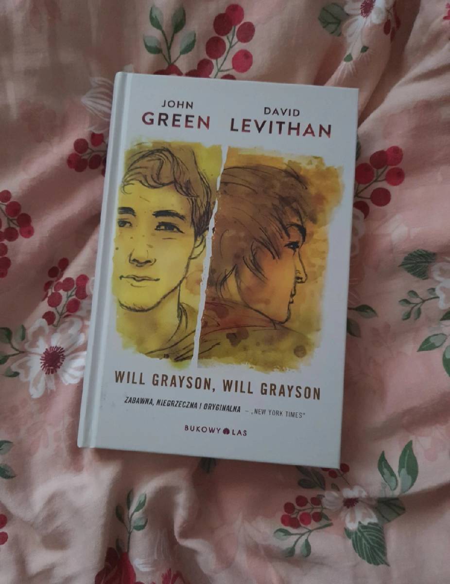 Will Grayson, Will Grayson
