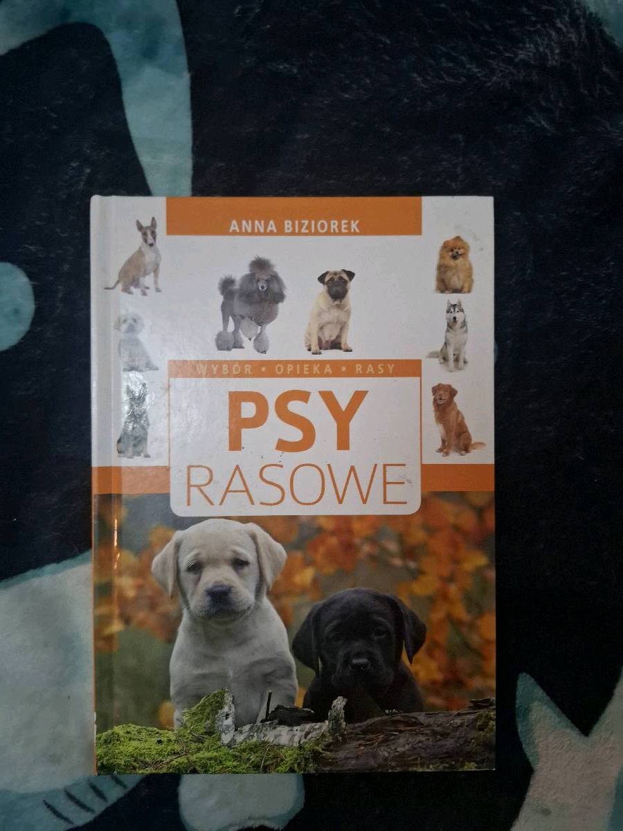 Psy rasowe