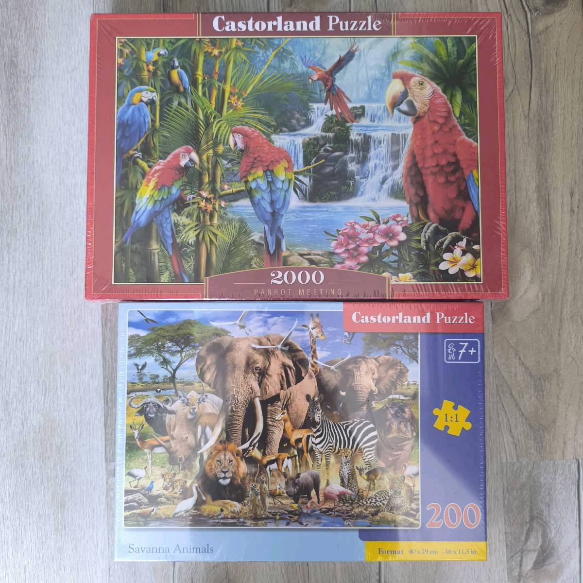 Zestaw: Parrot Meeting - Puzzle Castorland +1
