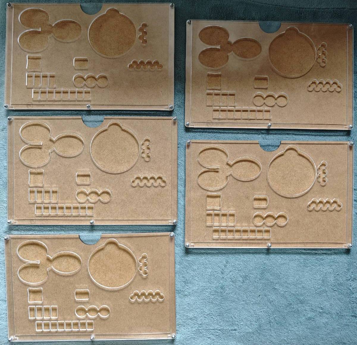 5x e-Raptor Organizer Terra Mystica