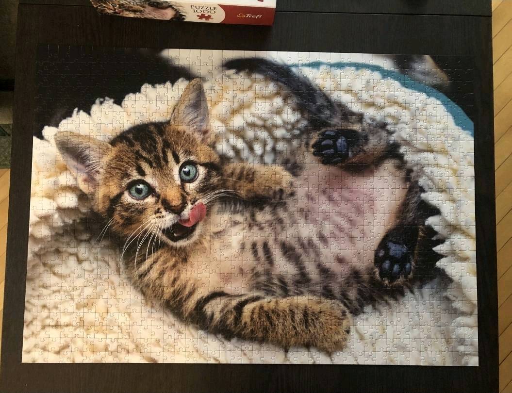 Puzzle Trefl Kotek 1000