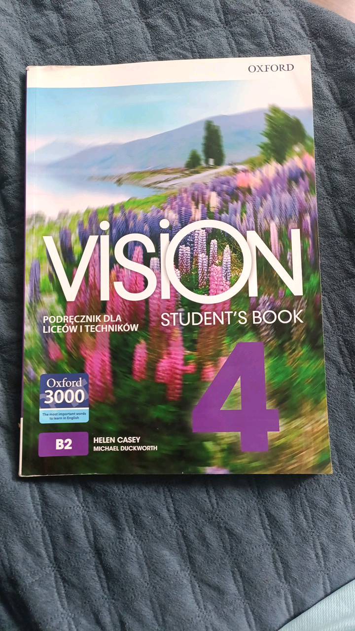 Vision 4