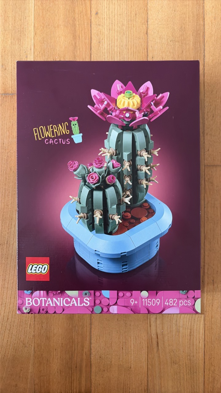 LEGO Botanicals „Flowering Cactus”
