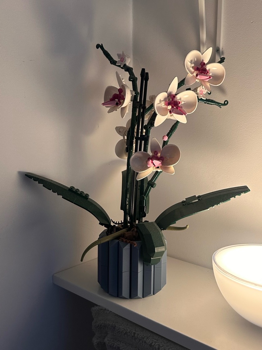 LEGO Icons Botanicals Orchidea