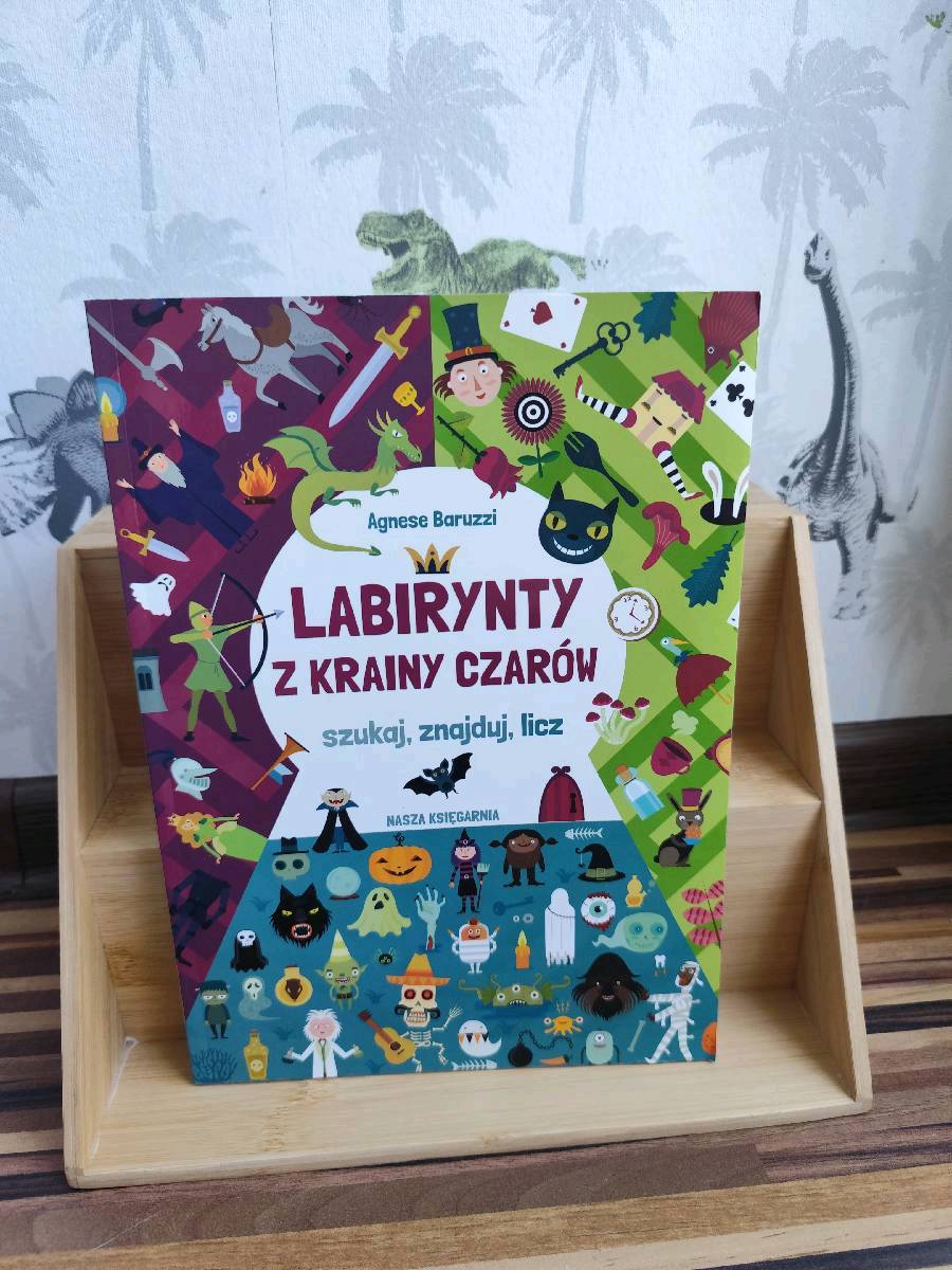 Labirynty z Krainy Czarów książka dla dzieci z labiryntami 