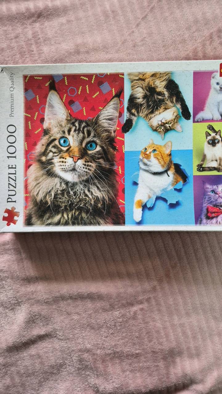 Puzzle Trefl 1000 - wesołe koty