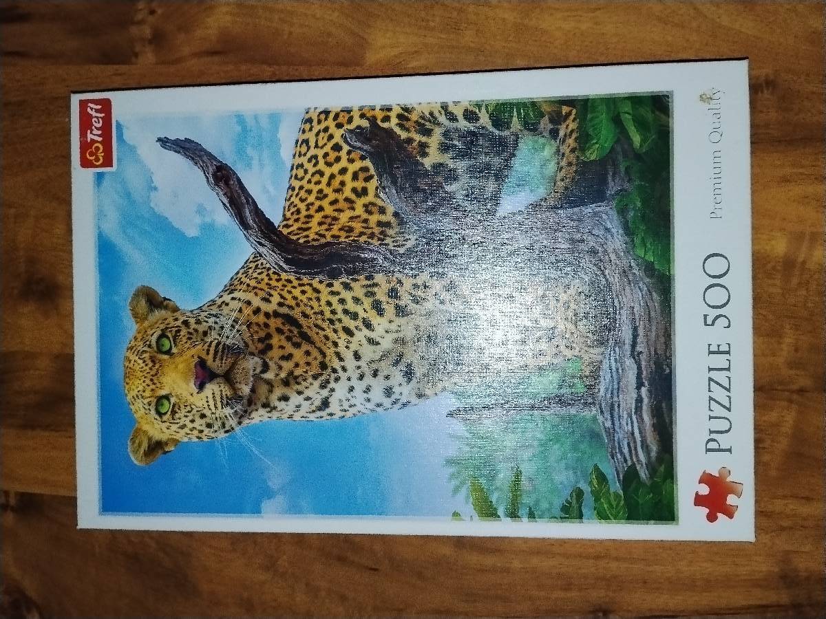 Puzzle 500