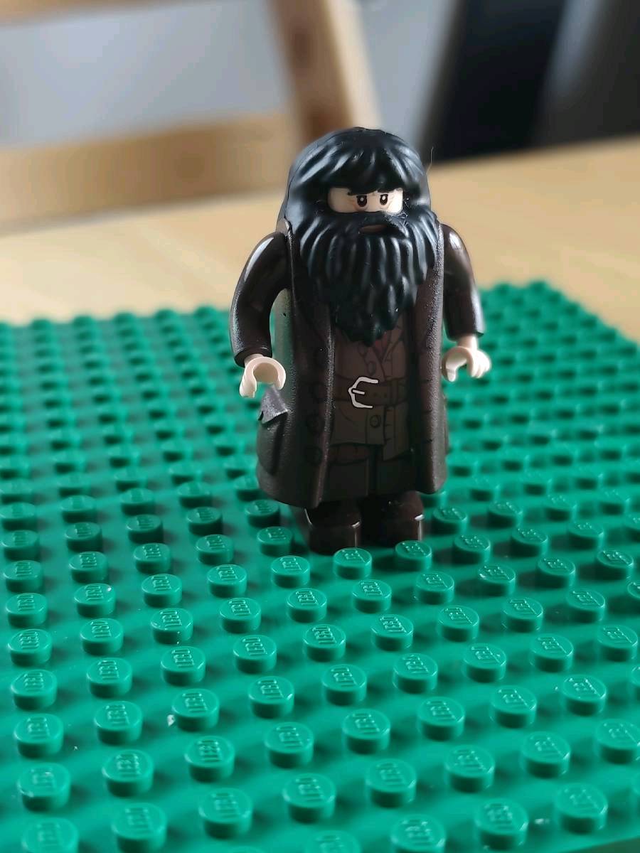 LEGO Harry Potter – Hagrid (hp111) z 4738