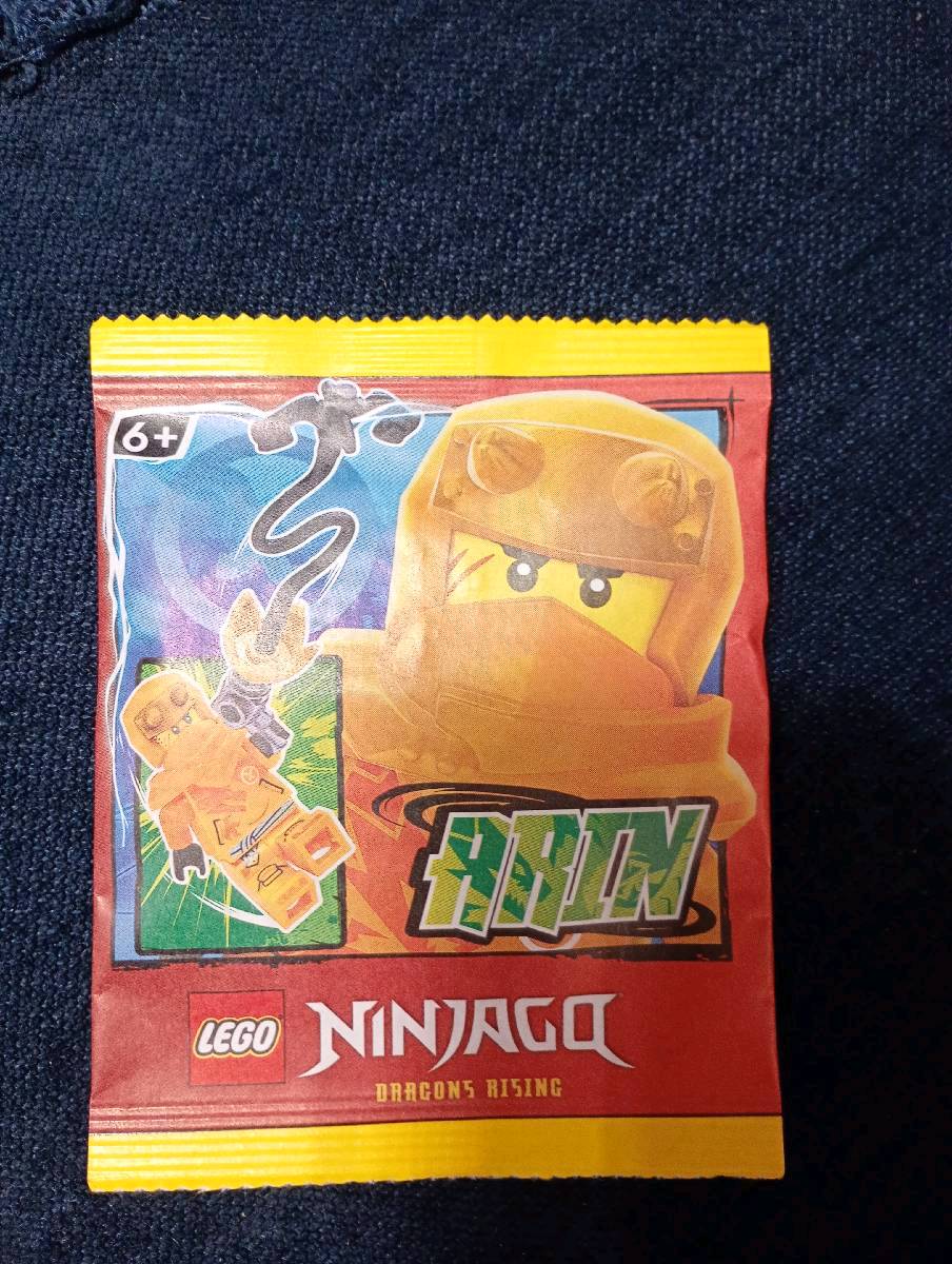 LEGO ninjago Arin drs1