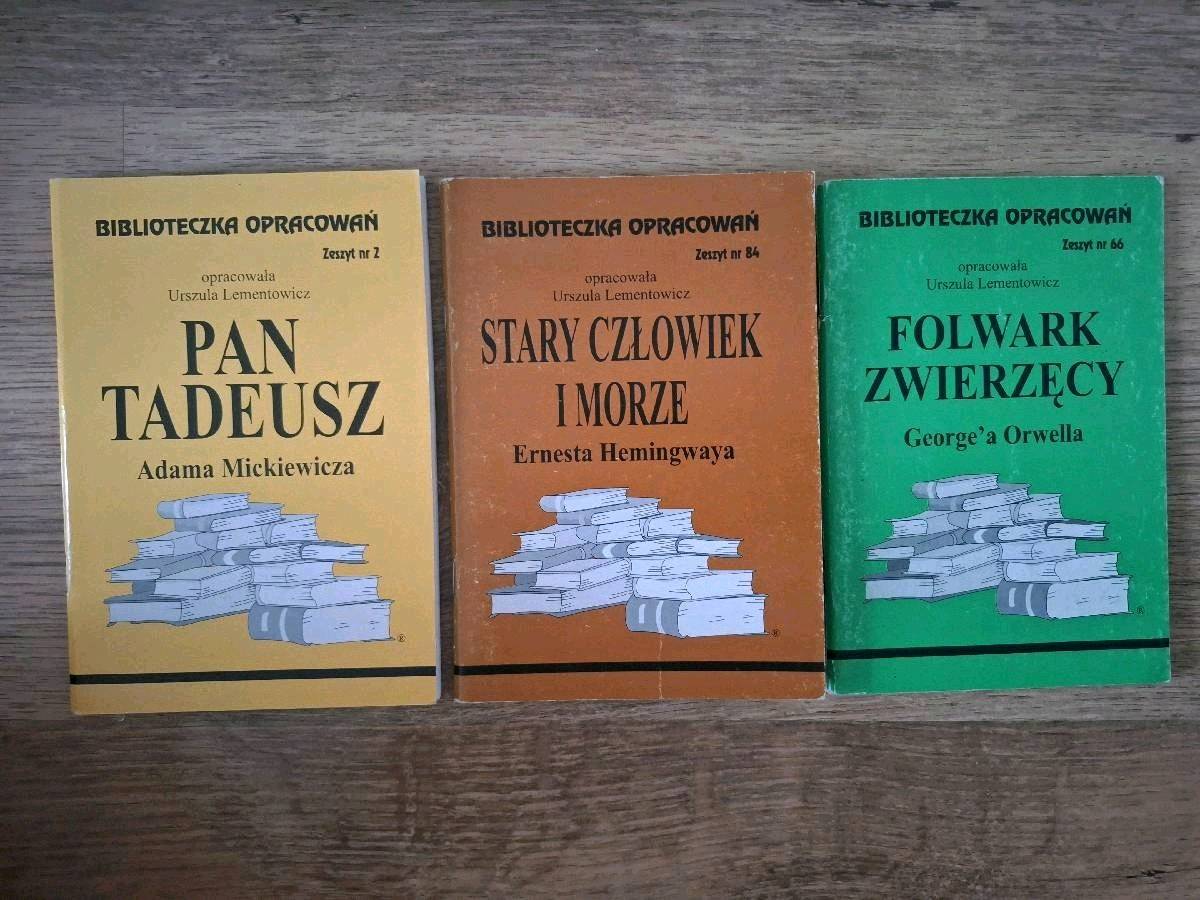 Zestaw: "Pan Tadeusz" Adama Mickiewicza +2