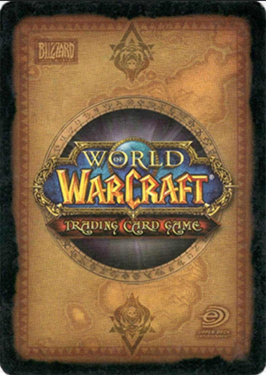 World of Warcraft TCG + pudełka/deck boxy