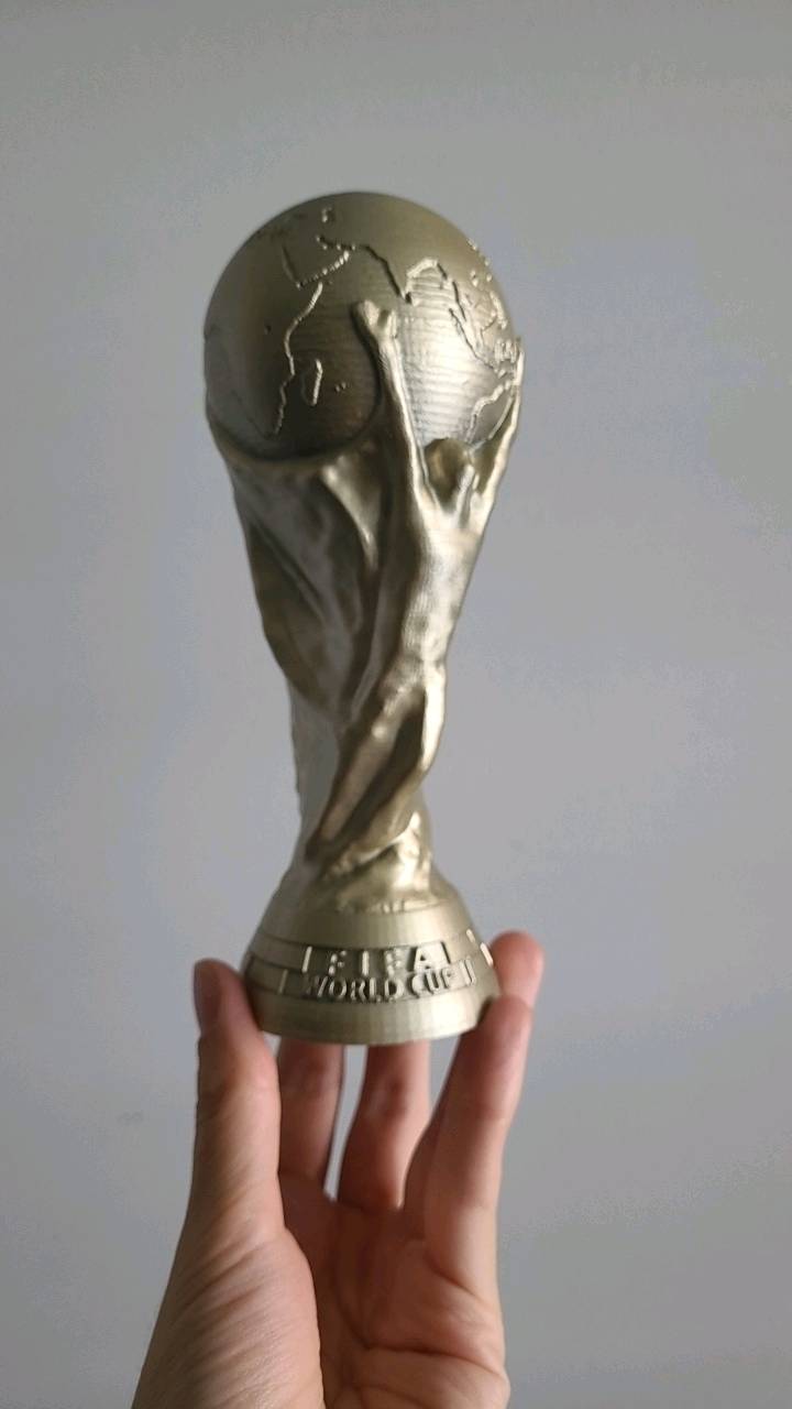 Puchar FIFA 