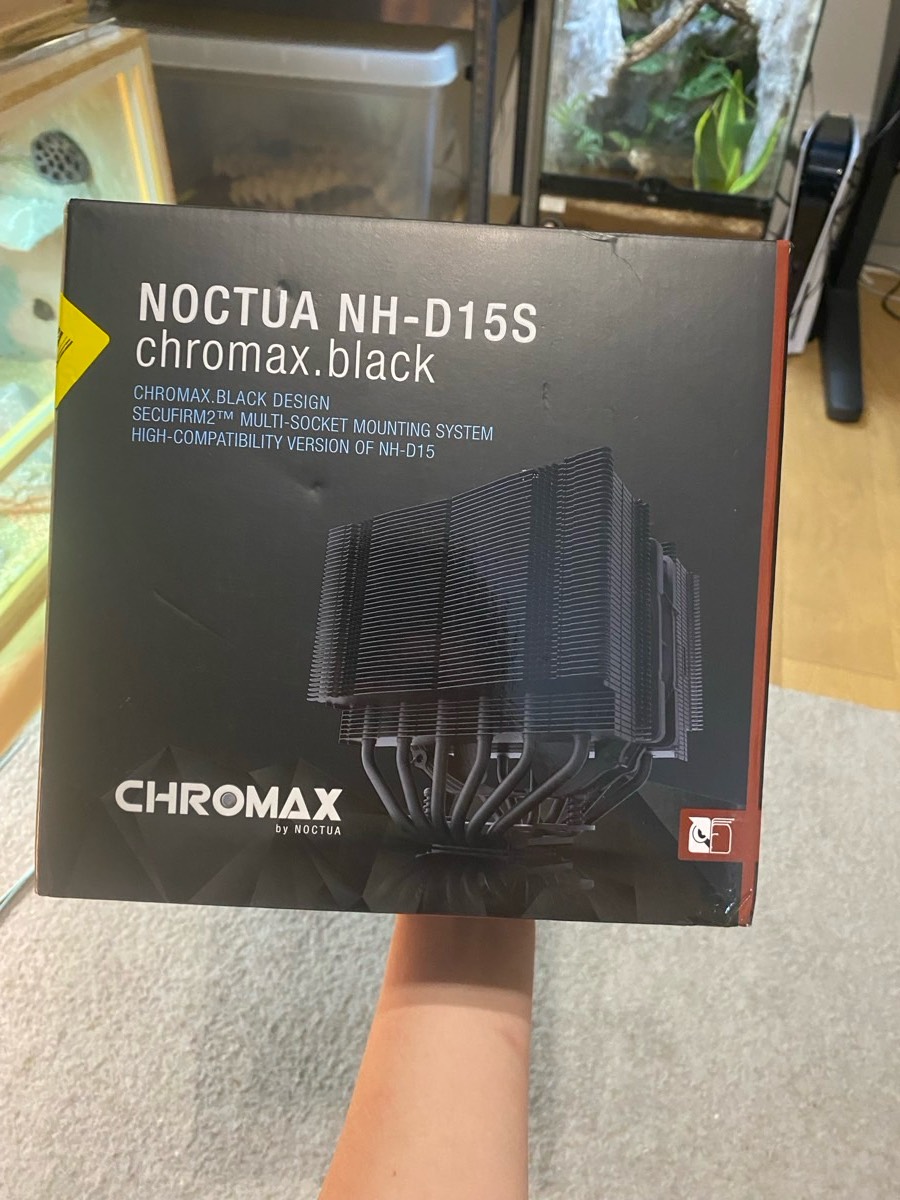 Noctua