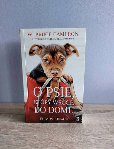 O psie, który wrócił do domu