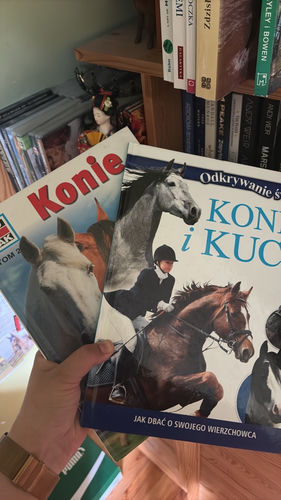 Zestaw: Konie i kuce : jak dbać o swojego wierzchowca +1