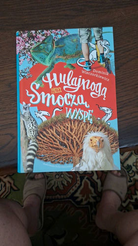 Hulajnogą przez Smoczą Wyspę