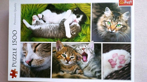 Puzzle 1500 Trefl koty