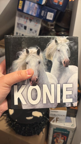Konie