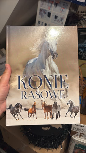 Konie rasowe 