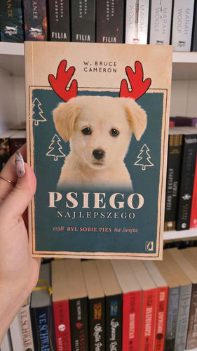 Psiego najlepszego czyli Był sobie pies na święta