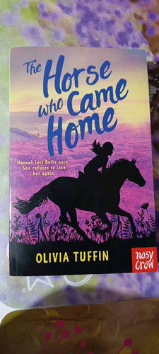 The horse who came home