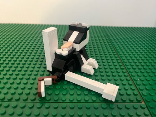 Lego kot