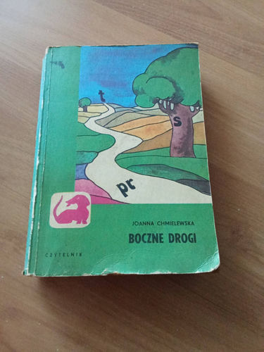Boczne drogi Joanna Chmielewska