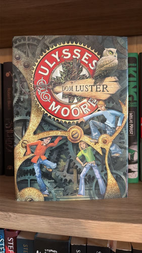 Dom luster