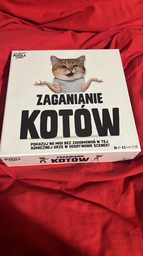 Zaganianie kotów