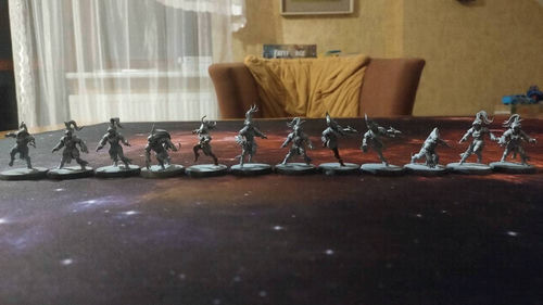 Warhammer. Blood Bowl. Amazon Team: Kara Temple Harpies