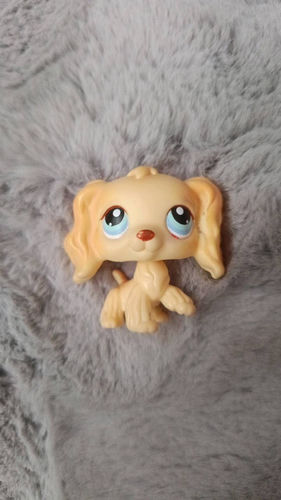 Figurka Littlest pet shop spaniel LPS pop na wymianę 