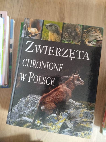Zwierzęta chronione w Polsce 