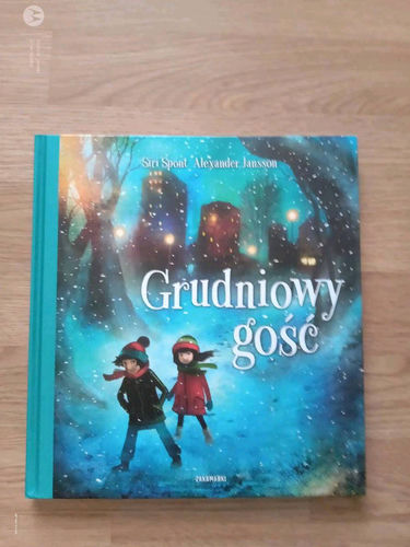 Grudniowy gość