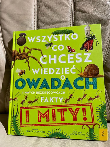 Wszystko, co chcesz wiedzieć o owadach i innych bezkręgowcach Fakty i mity owady pająki