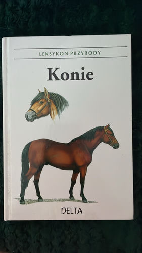 Konie