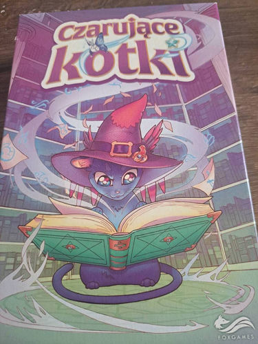 Czarujące kotki