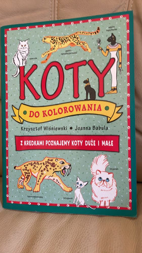 Koty do kolorowania kolorowanka 