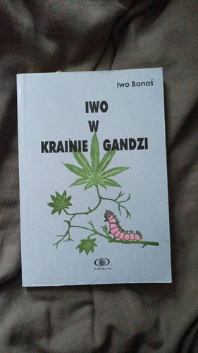 Iwo w krainie gandzi 