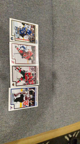 NHL Panini