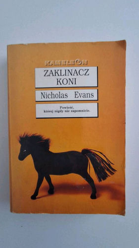 Zaklinacz koni