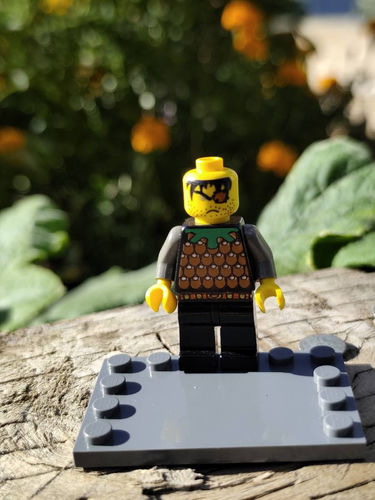 LEGO Knights' Kingdom - Gilbert the Bad cas041 LEGO castle zamki