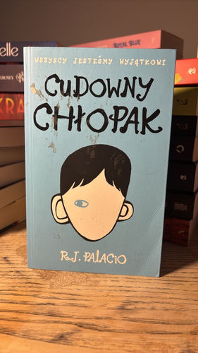 Cudowny chłopak 