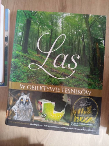 Las w obiektywie leśników 
