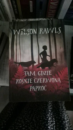 Tam, gdzie rośnie czerwona paproć