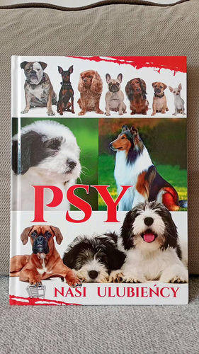 Psy : nasi ulubieńcy