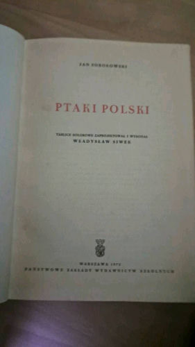Ptaki Polski Jan Sokołowski 