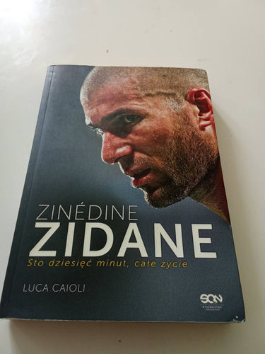 Zinedine Zidane Luca Caioli
